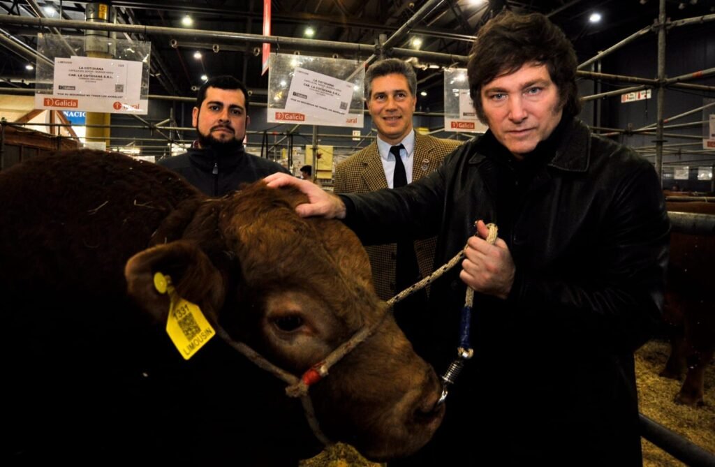 El impacto del modelo de Milei en el campo