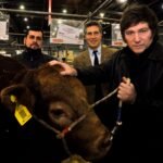 El impacto del modelo de Milei en el campo