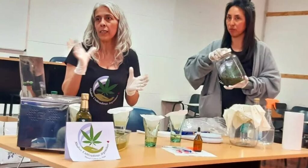 El cannabis cambió la vida de su hijo y hoy ocupa un cargo clave para impulsar su uso médico