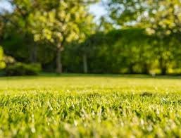 Contemplar lo desconocido 