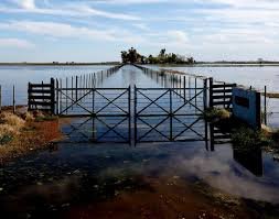 La Provincia de Buenos Aires reactiva las obras del Salado con un crédito del Banco Europeo