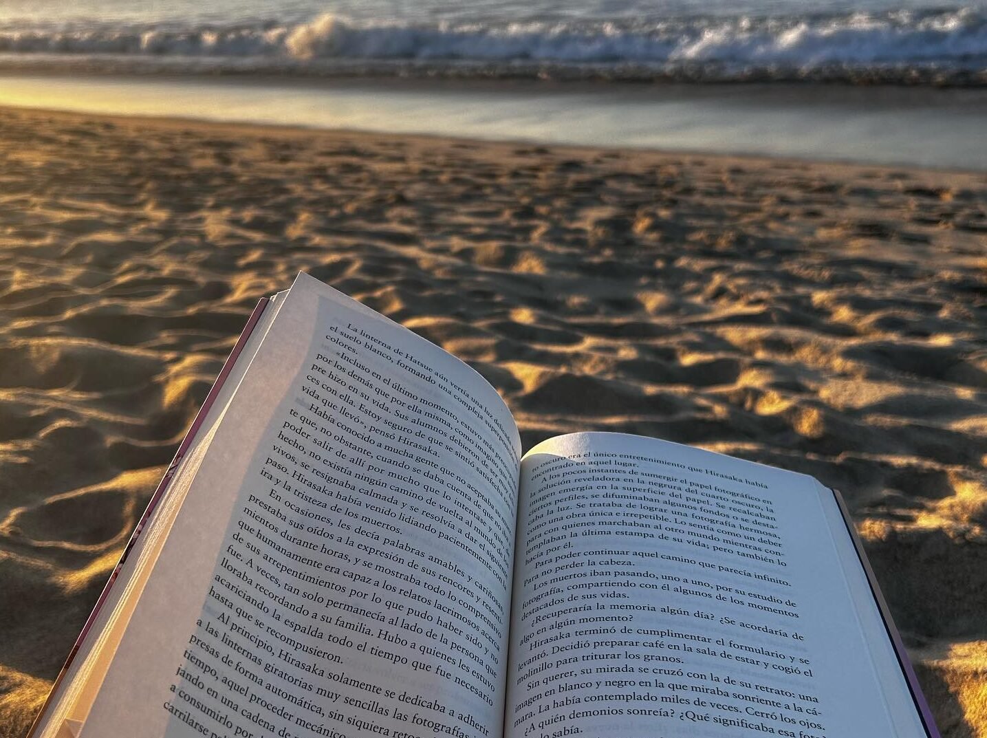 Lecturas de verano: clásicos y algo nuevo bajo el sol