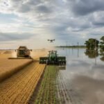 Trigo récord y siembra gruesa retomada: el panorama agrícola en cifras