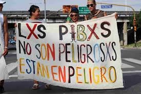 Bajar la edad de punibilidad es nuevo acto de crueldad