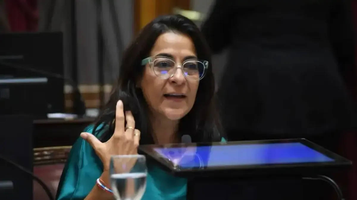 Semana agitada en el Senado: nuevos aliados para la “escribanía” y el bloque de Mayans sin sillas