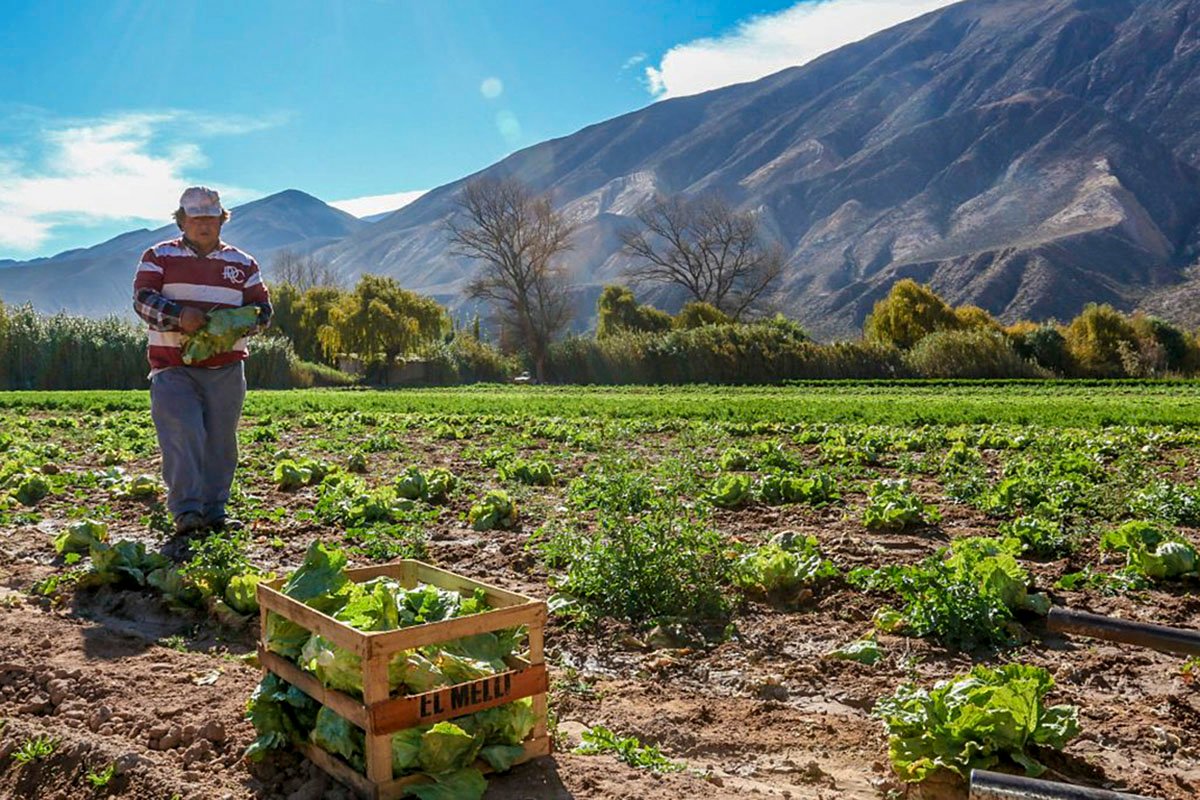 Innovar con ADN propio: Cauqueva cumple 30 años de valor agregado y soberanía alimentaria