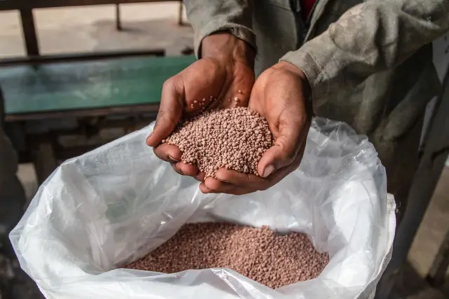 Los costos de la guerra