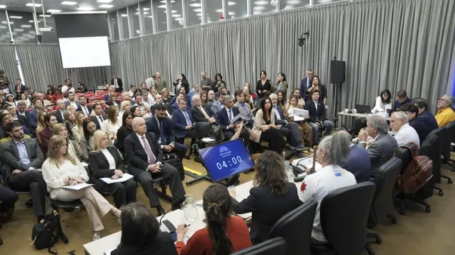 Ley de Glaciares: más de 150 organizaciones exigen que se reabran las audiencias públicas