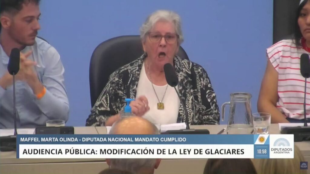La movilización ambiental y las denuncias por irregularidades marcaron la primera audiencia por la ley de Glaciares