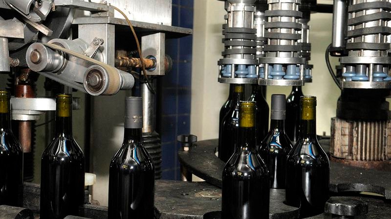 La crisis de la vitivinicultura, entre la caída del consumo y el conflicto con el gobierno nacional