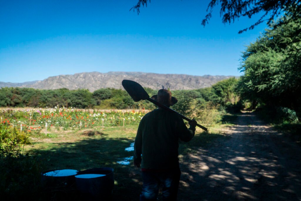 Líneas de agua, trazos de cobre: el horizonte extractivo desde el Valle Calchaquí