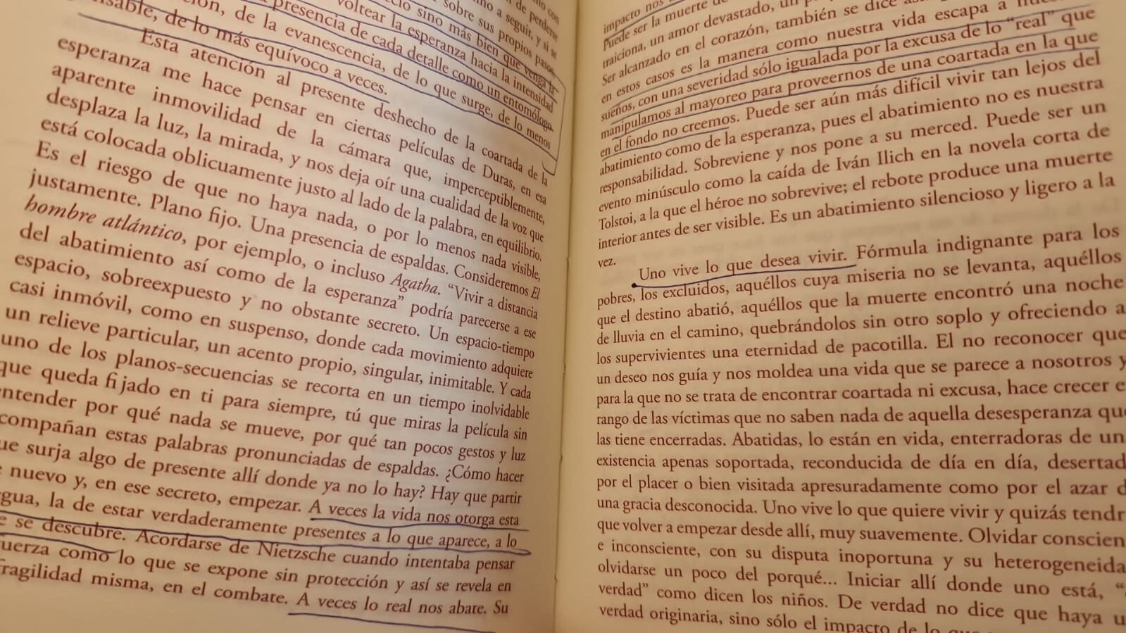 Diario de migrañas IV (final)
