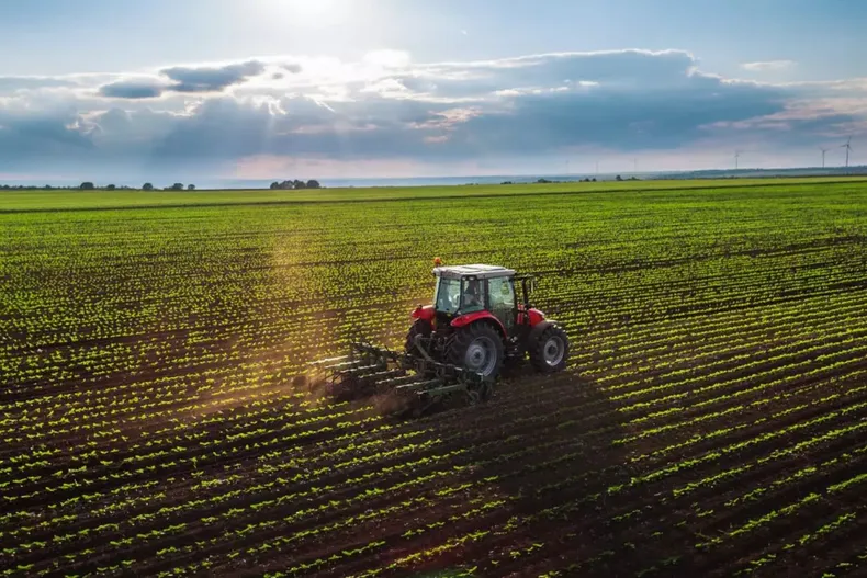 ¿A qué nos referimos cuando hablamos de “el campo?