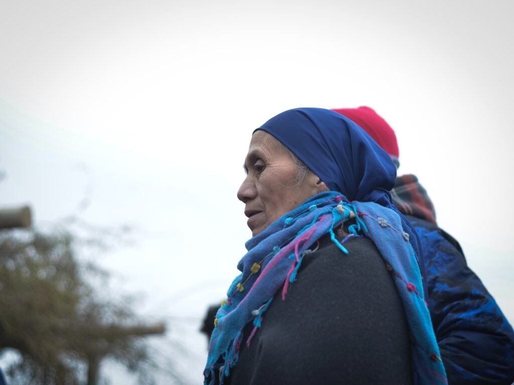 Vigencia y proyección del conocimiento Mapuche (Mapuche Kimvn)