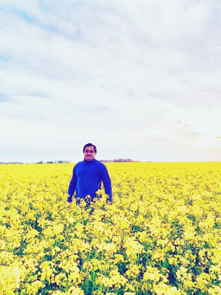 Qué oleaginosas ganan hectáreas en el campo argentino