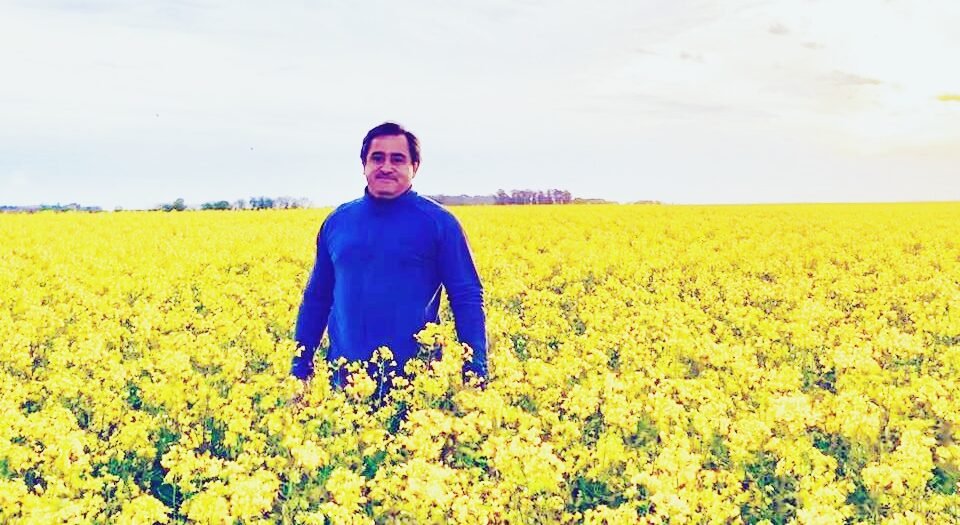Qué oleaginosas ganan hectáreas en el campo argentino