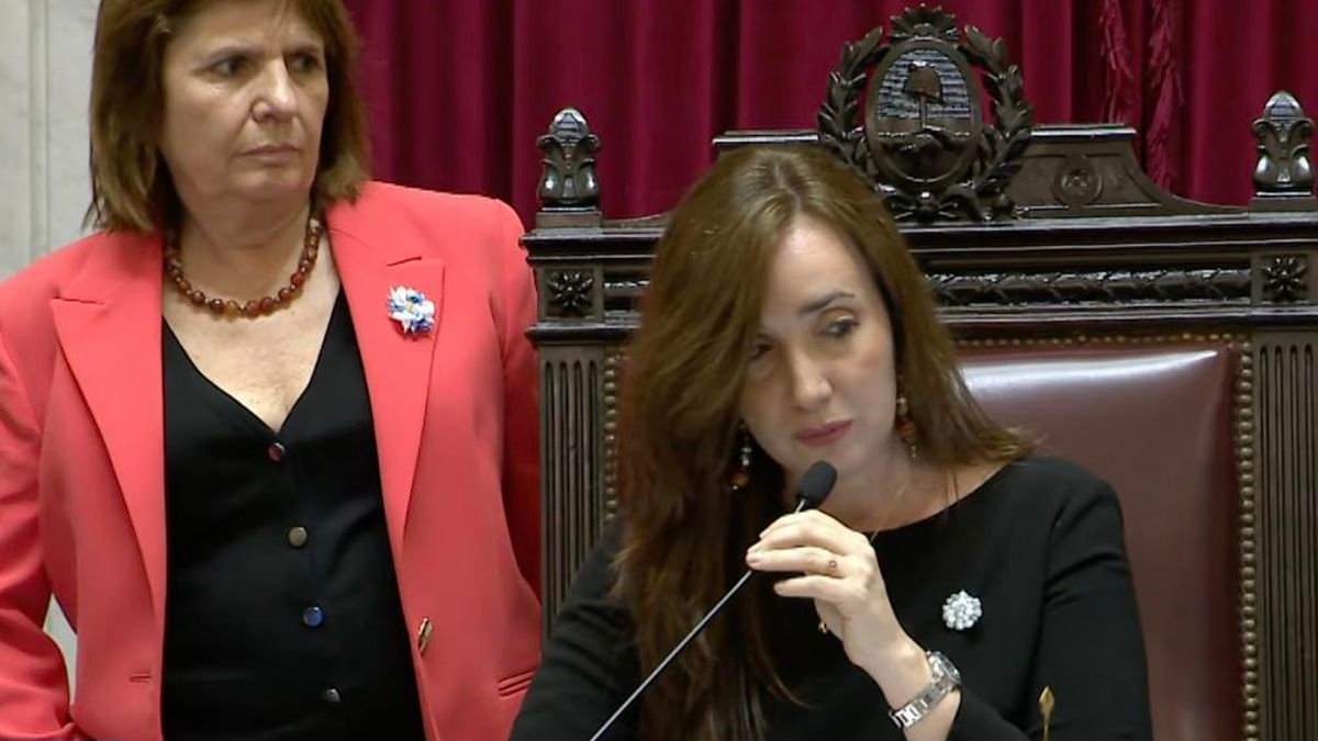 El Senado le dio a Milei una derrota que él celebró como victoria