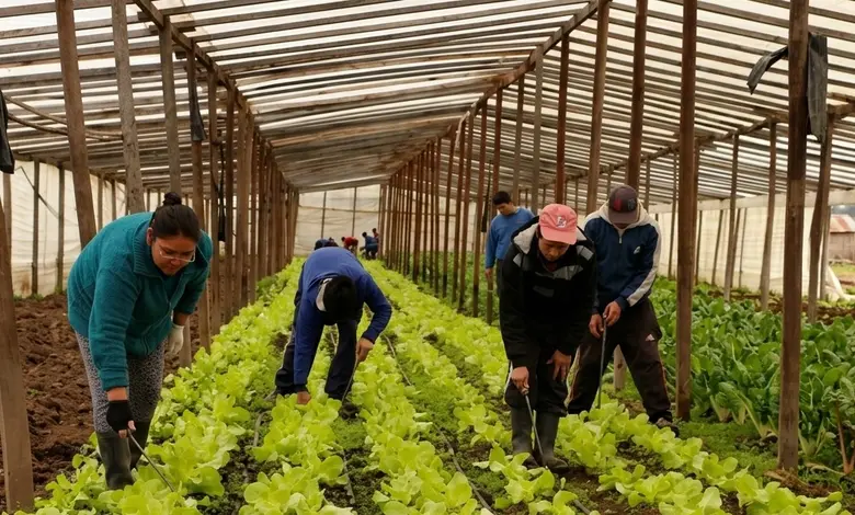 Buenos Aires lanzó el programa “Agricultura Familiar en Marcha 2026”
