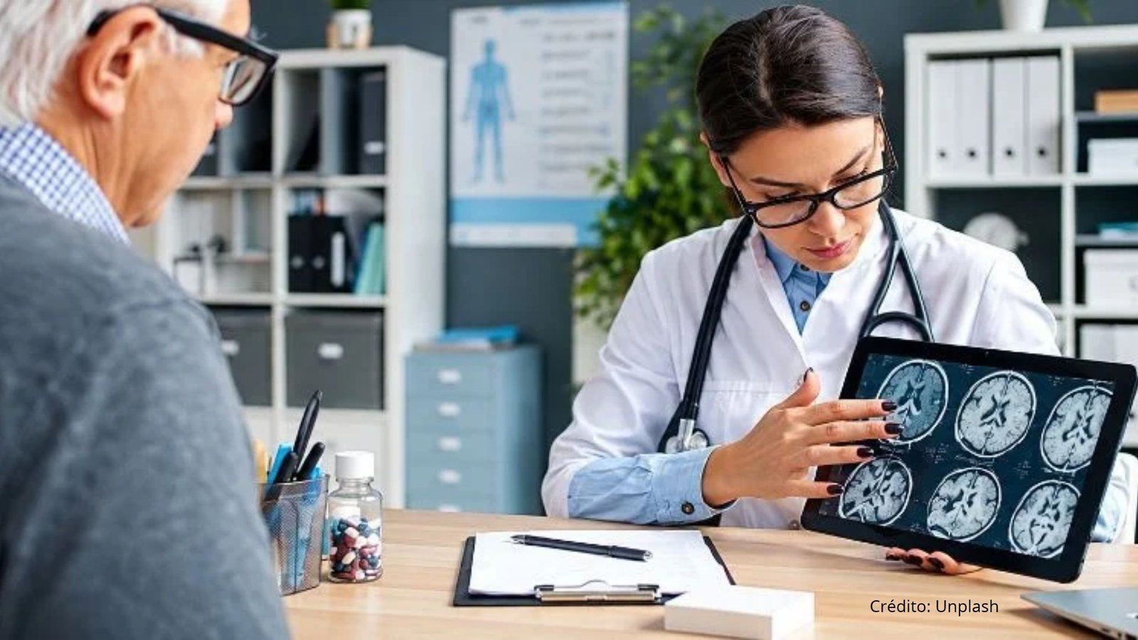 Crean el mapa celular más grande del cerebro humano