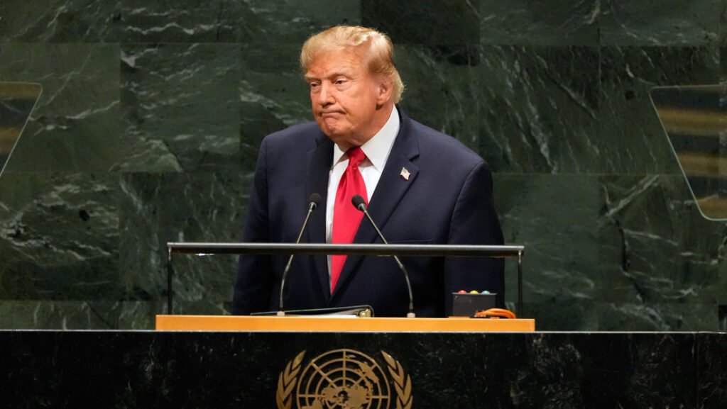 “¿Para qué sirven las Naciones Unidas?”