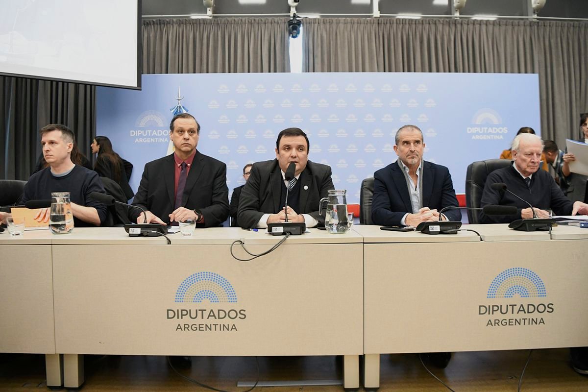¿Giro libertario en discapacidad o el lobo que se viste de oveja?