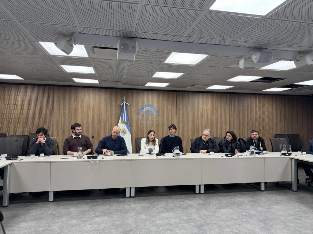 Esta imagen muestra una reunión de trabajo o de comisión en una sala de la Honorable Cámara de Diputados de la Nación en Argentina, donde varias personas se encuentran sentadas alrededor de una mesa larga.