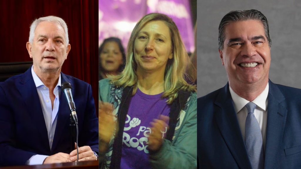 Bregman crece, la misión de Capitanich y las fichas de Alak