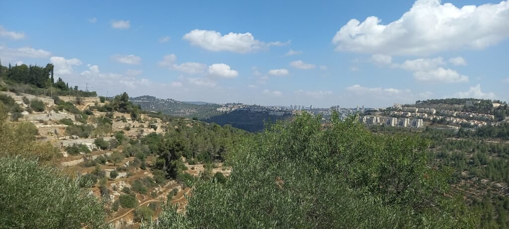 en Cremizan, terrazas de cultivo y olivos de propiedad palestina resisten aún la cercana expansión de asentamientos judíos
