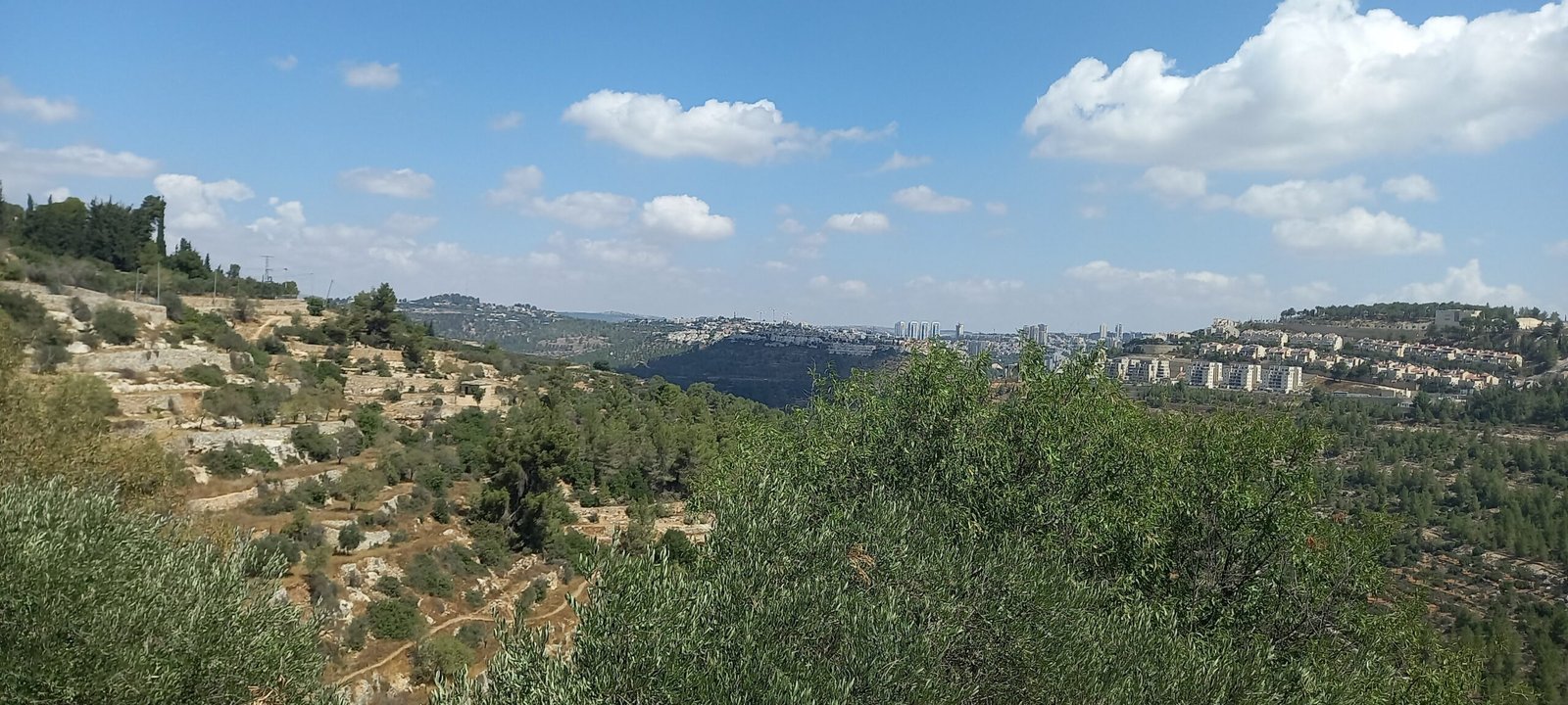 Cisjordania: una estrategia de agotamiento apoyada en armas