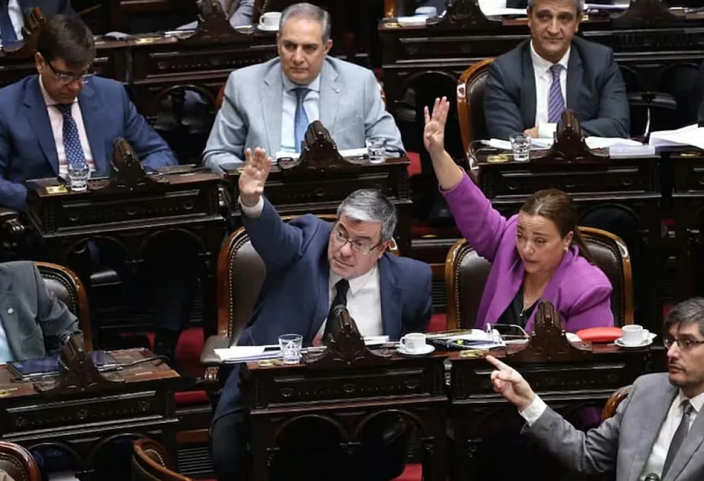 Fracasó la sesión para derogar el DNU 70/23 y prorrogar la emergencia en discapacidad