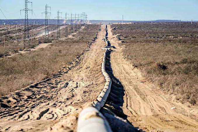 Los dólares de Vaca Muerta y por qué la abundancia necesita un blindaje