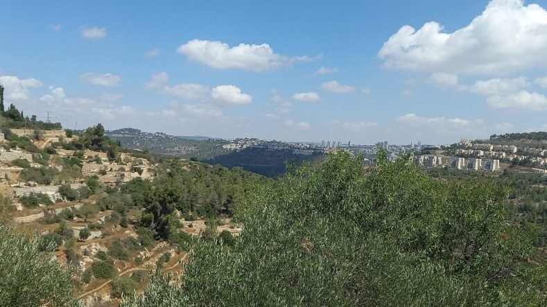 en Cremizan, terrazas de cultivo y olivos de propiedad palestina resisten aún la cercana expansión de asentamientos judíos