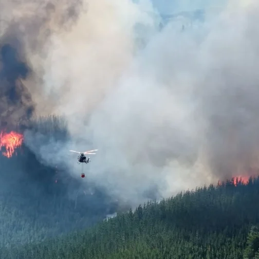 Aprender de los desastres antroponaturales