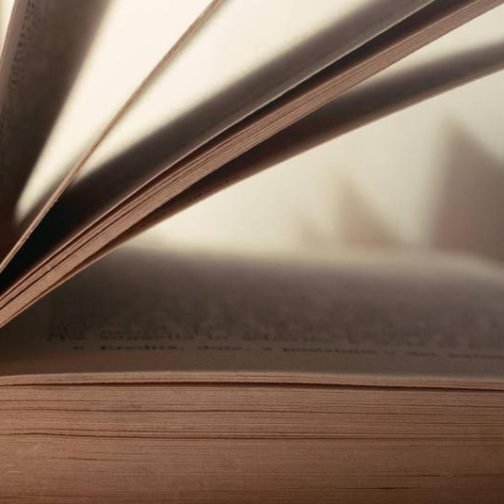 Políticamente correctos: el derecho a una literatura incómoda 