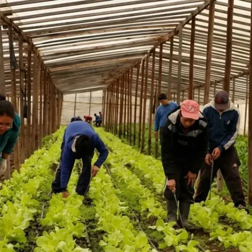 Buenos Aires lanzó el programa “Agricultura Familiar en Marcha 2026”