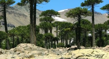 Cambio climático desde la Patagonia: crisis ambiental, modelo productivo y voces del territorio