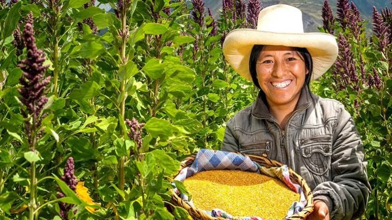 Con año de la mujer agricultora