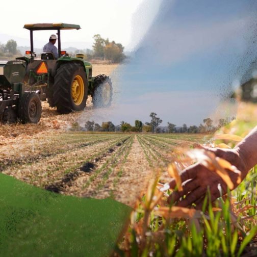 ¿Por qué hablar de bioeconomía hoy en Argentina?