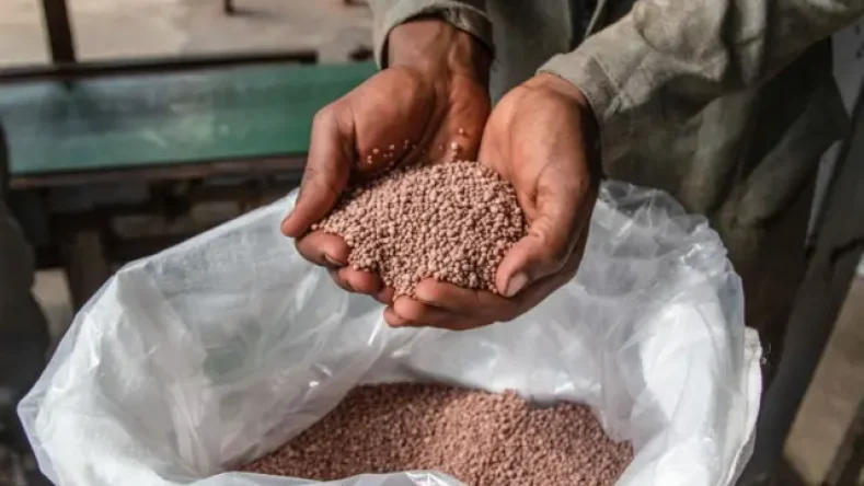 Imagen ilustrativa de manos sosteniendo granos