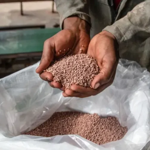 Los costos de la guerra