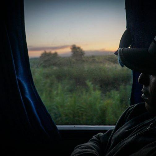 Golondrinas: la larga marcha del norte al principio del sur