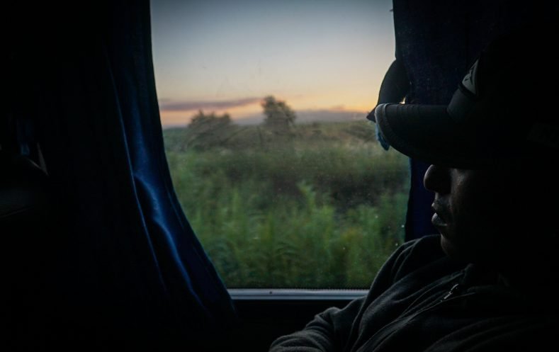 Golondrinas: la larga marcha del norte al principio del sur