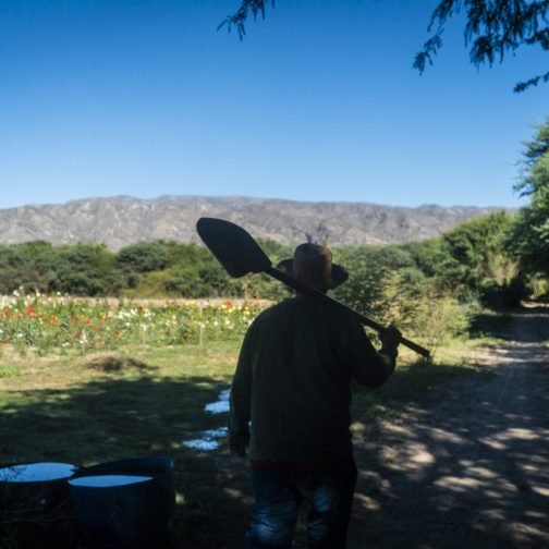 Líneas de agua, trazos de cobre: el horizonte extractivo desde el Valle Calchaquí