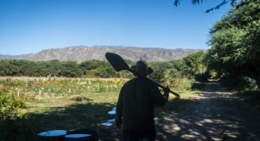 Líneas de agua, trazos de cobre: el horizonte extractivo desde el Valle Calchaquí
