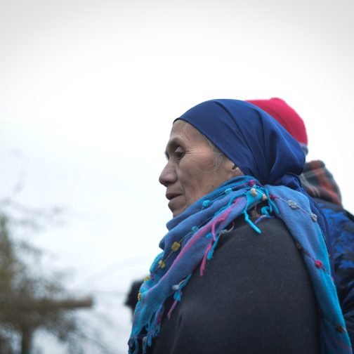 Vigencia y proyección del conocimiento Mapuche (Mapuche Kimvn)