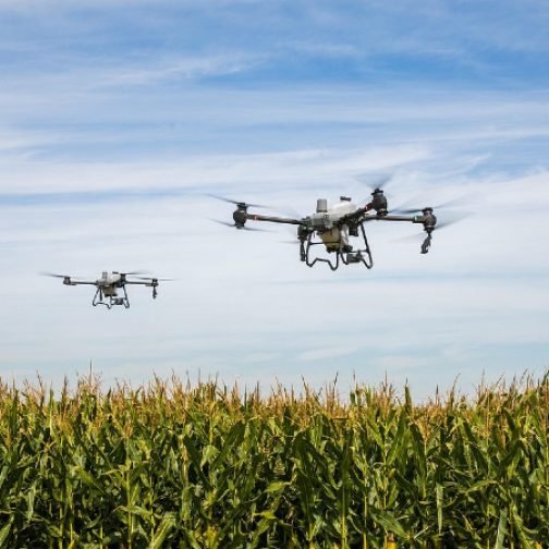 Fumigaciones agrícolas: entre el modelo de agronegocios y la  producción agroecológica