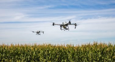 Fumigaciones agrícolas: entre el modelo de agronegocios y la  producción agroecológica