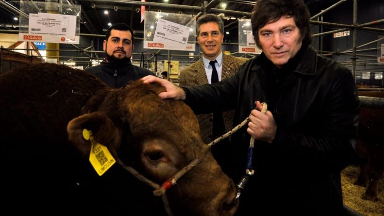 IMG-ea50dc43-ee5f-44d4-9675-1bf958f9ffac