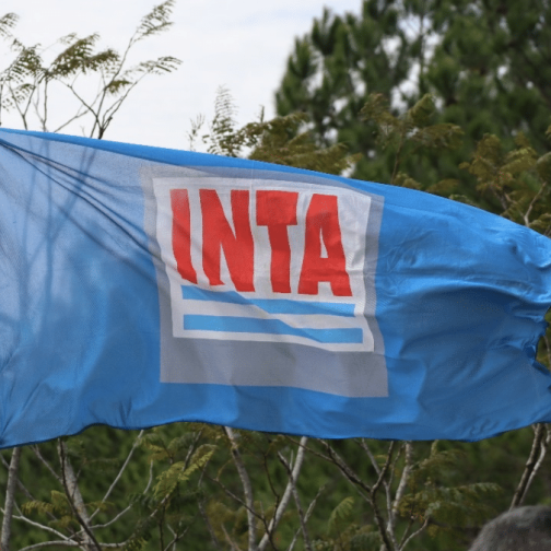 Ex ministros de Agricultura denuncian “negocio inmobiliario» detrás de la reforma del INTA