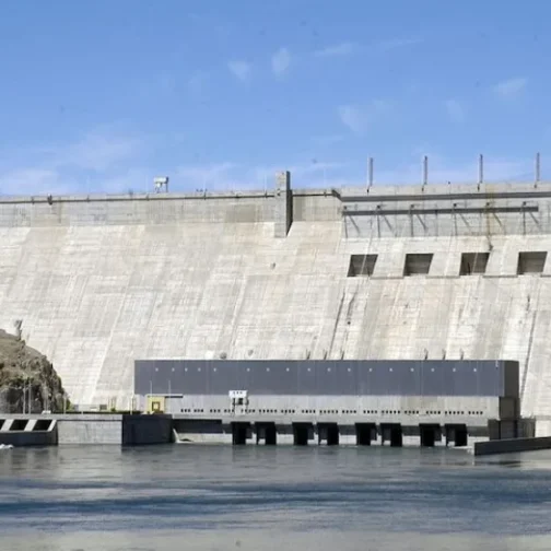 Represas del Comahue: una privatización sin precio y a treinta años